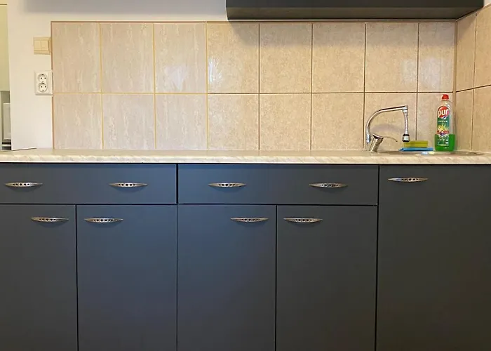 Apartament Lions Dristor Riii